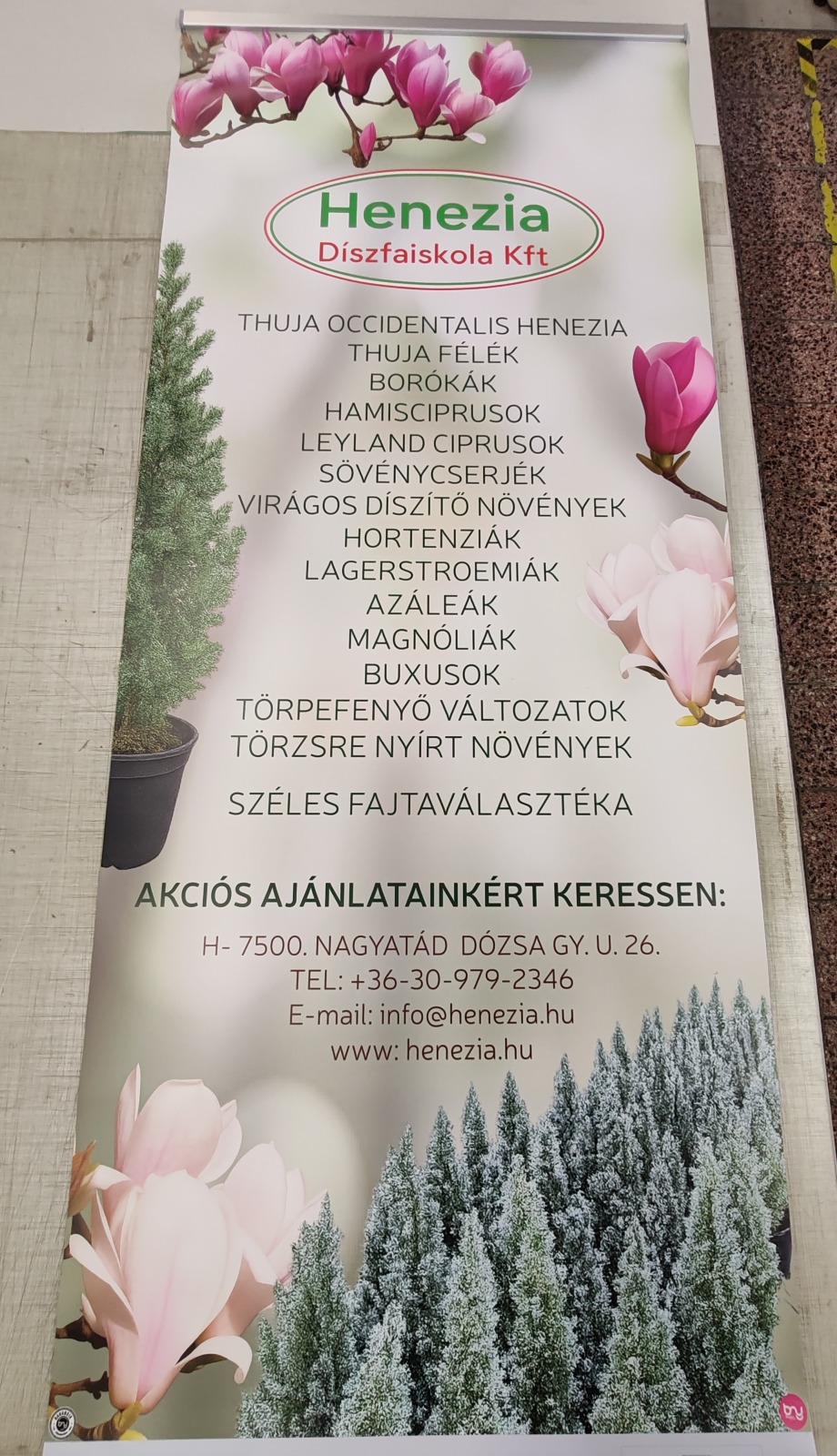 Roll Up – referencia munka 4